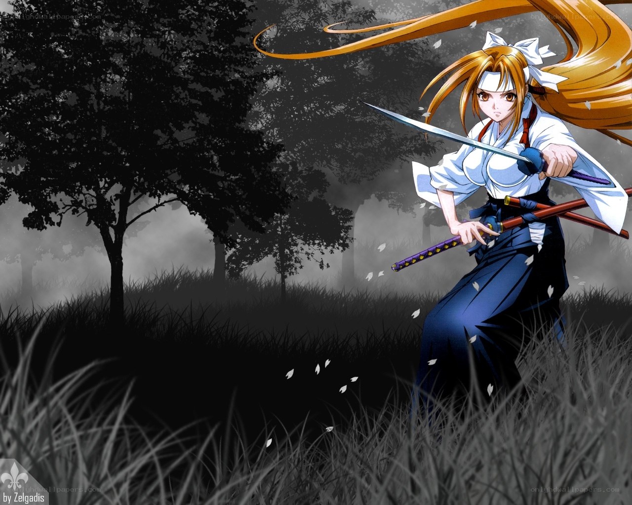anime warrior with swords