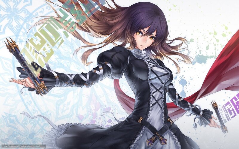 anime warrior woman with swords