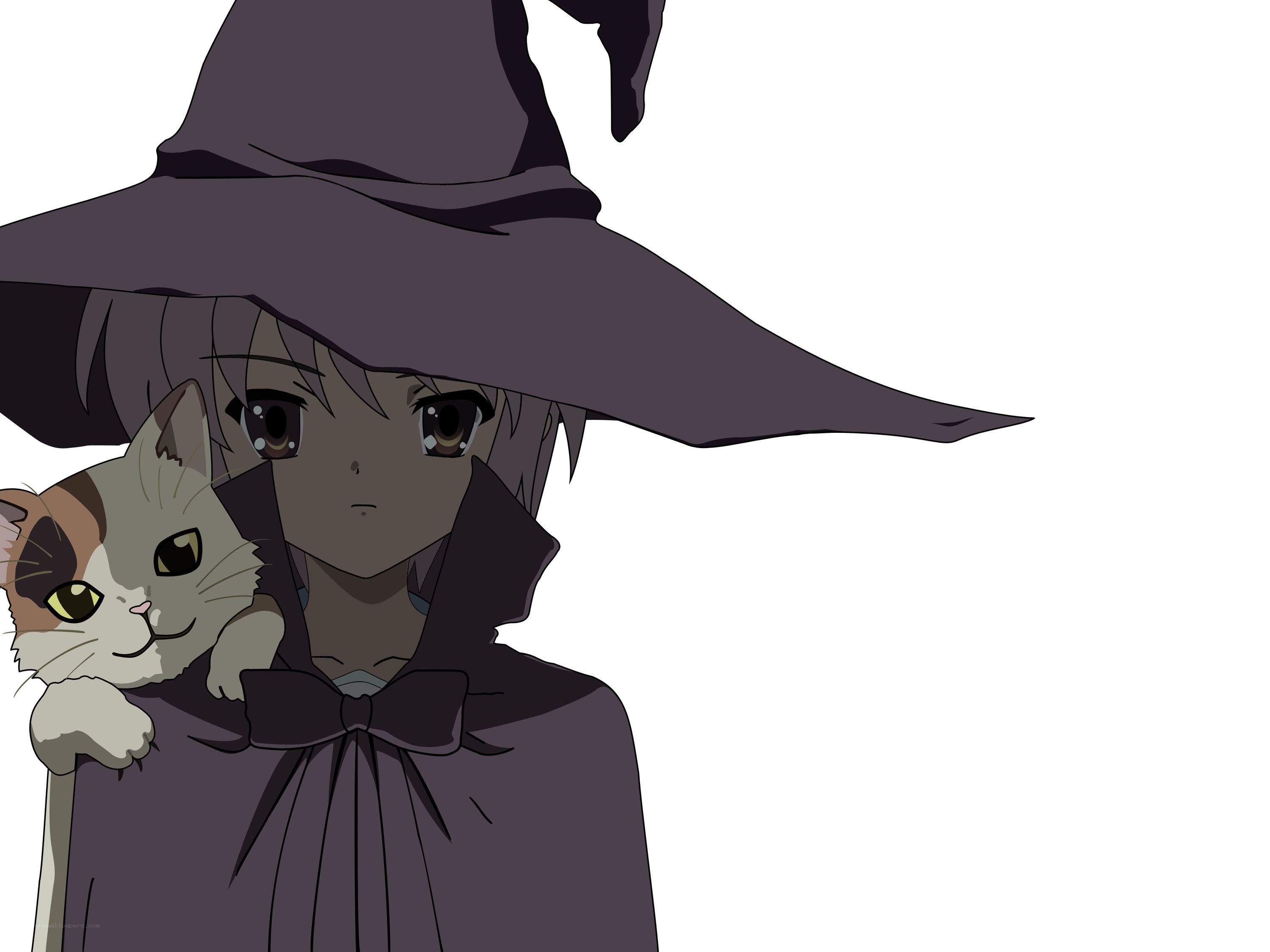anime witch with cat
