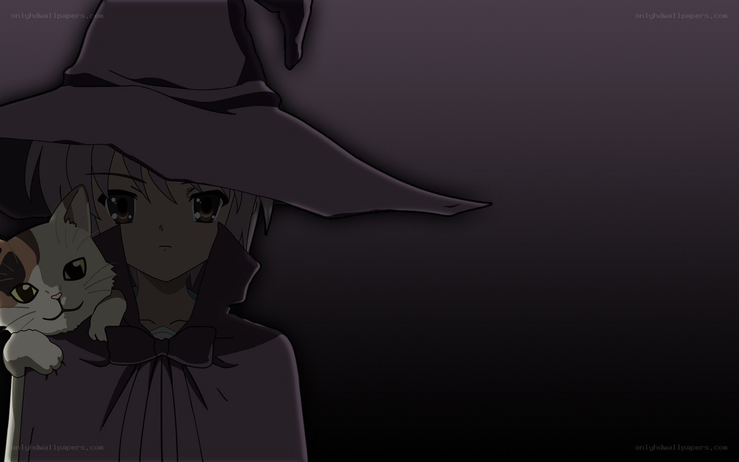 anime witch with cat