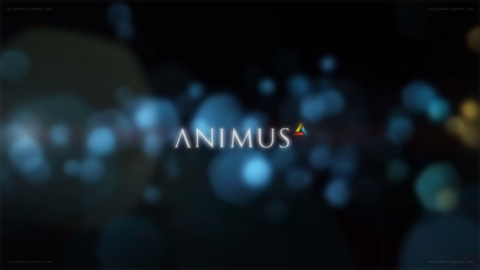 Animus logo on bokeh background