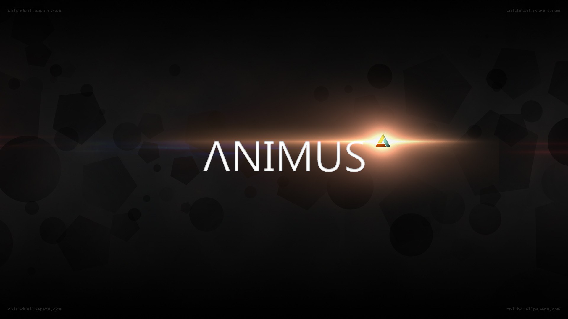 Animus logo with lens flare