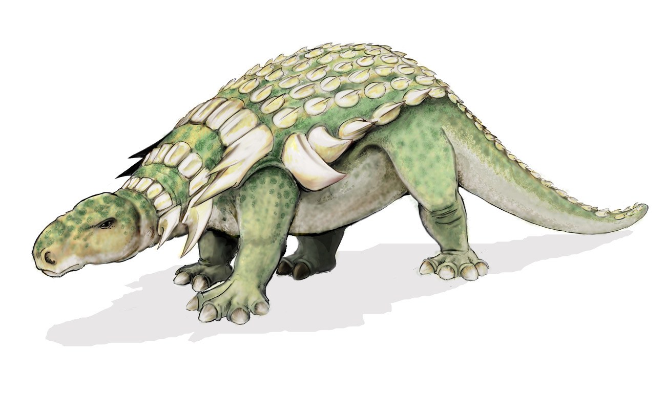 Ankylosaurus dinosaur illustration