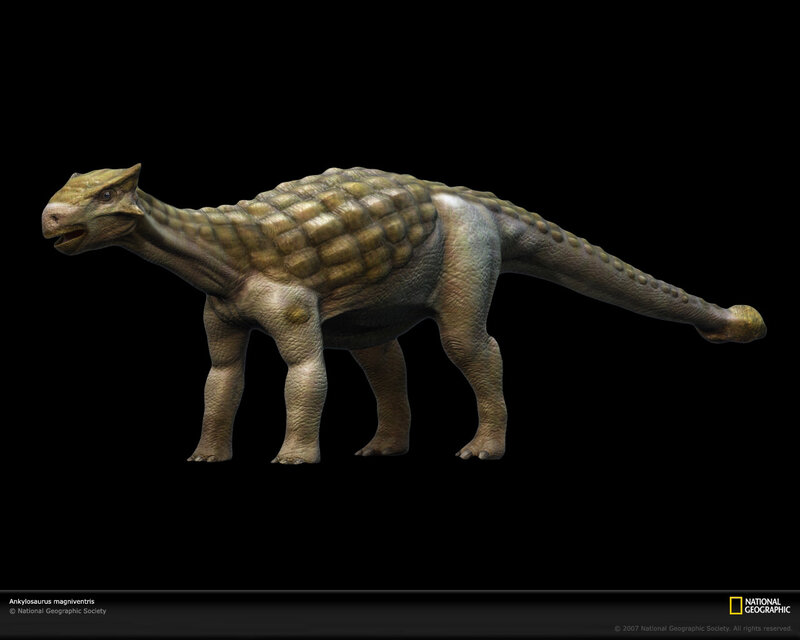 Ankylosaurus dinosaur model