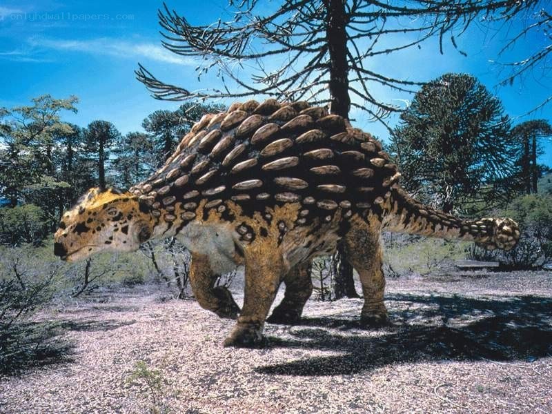 Ankylosaurus in prehistoric forest