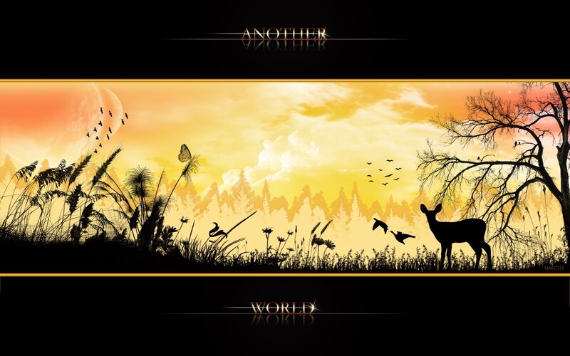 Another World