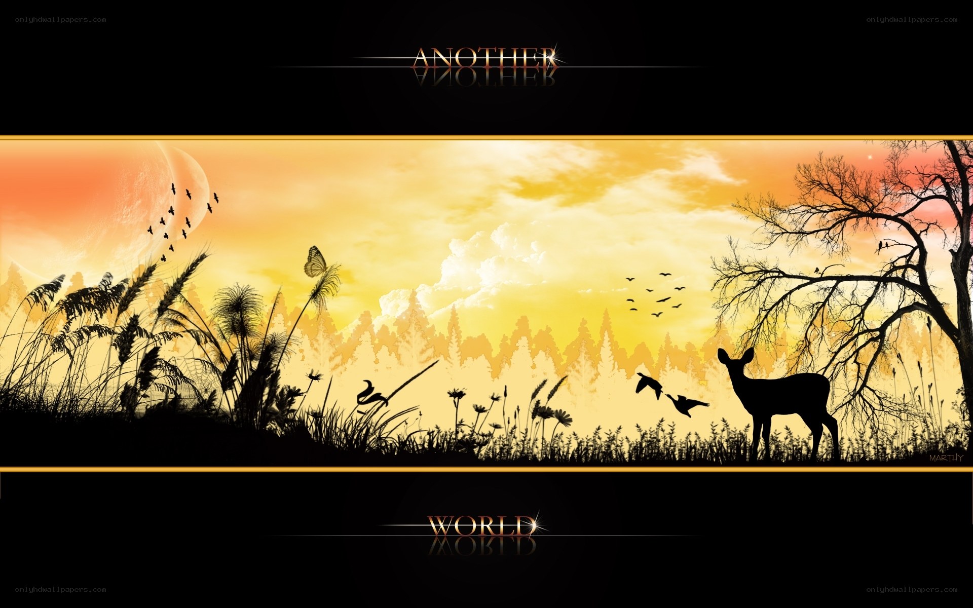 Another World