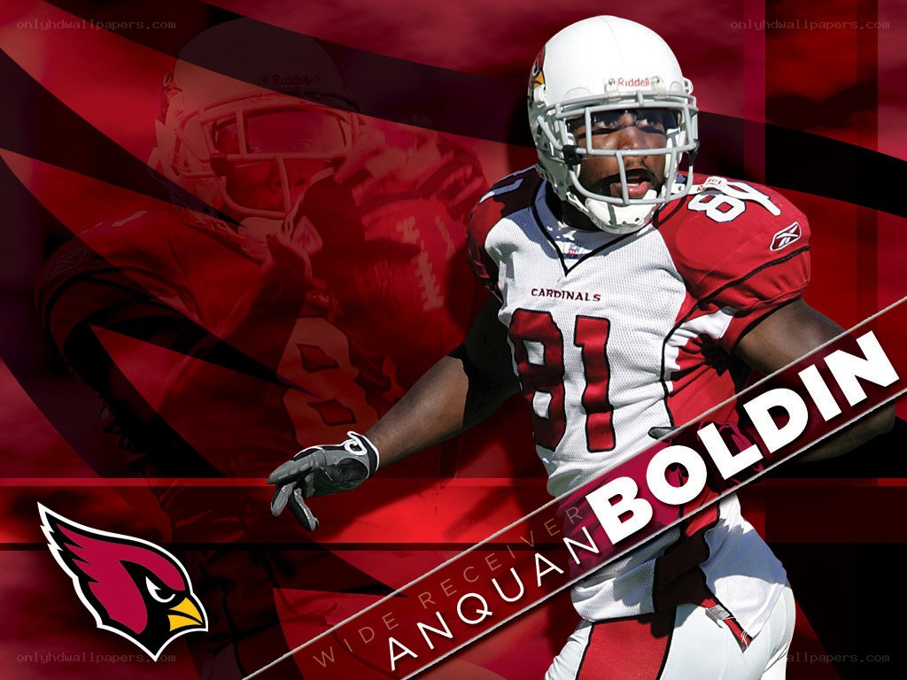 Anquan Boldin football player