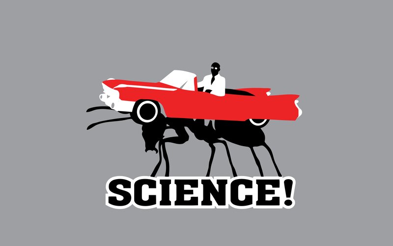 Ant Carrying Car — Gray