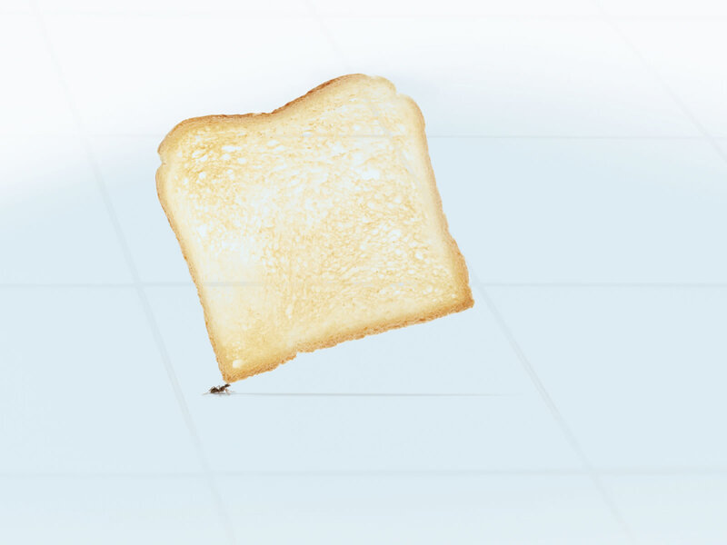 ant carrying toast slice