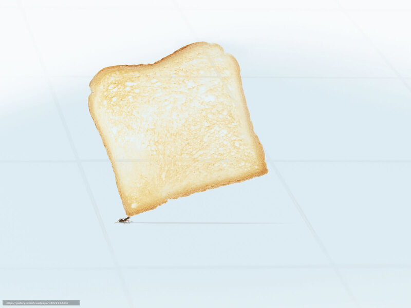 ant carrying toast slice