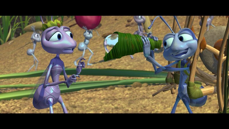 Ant Characters in a Field