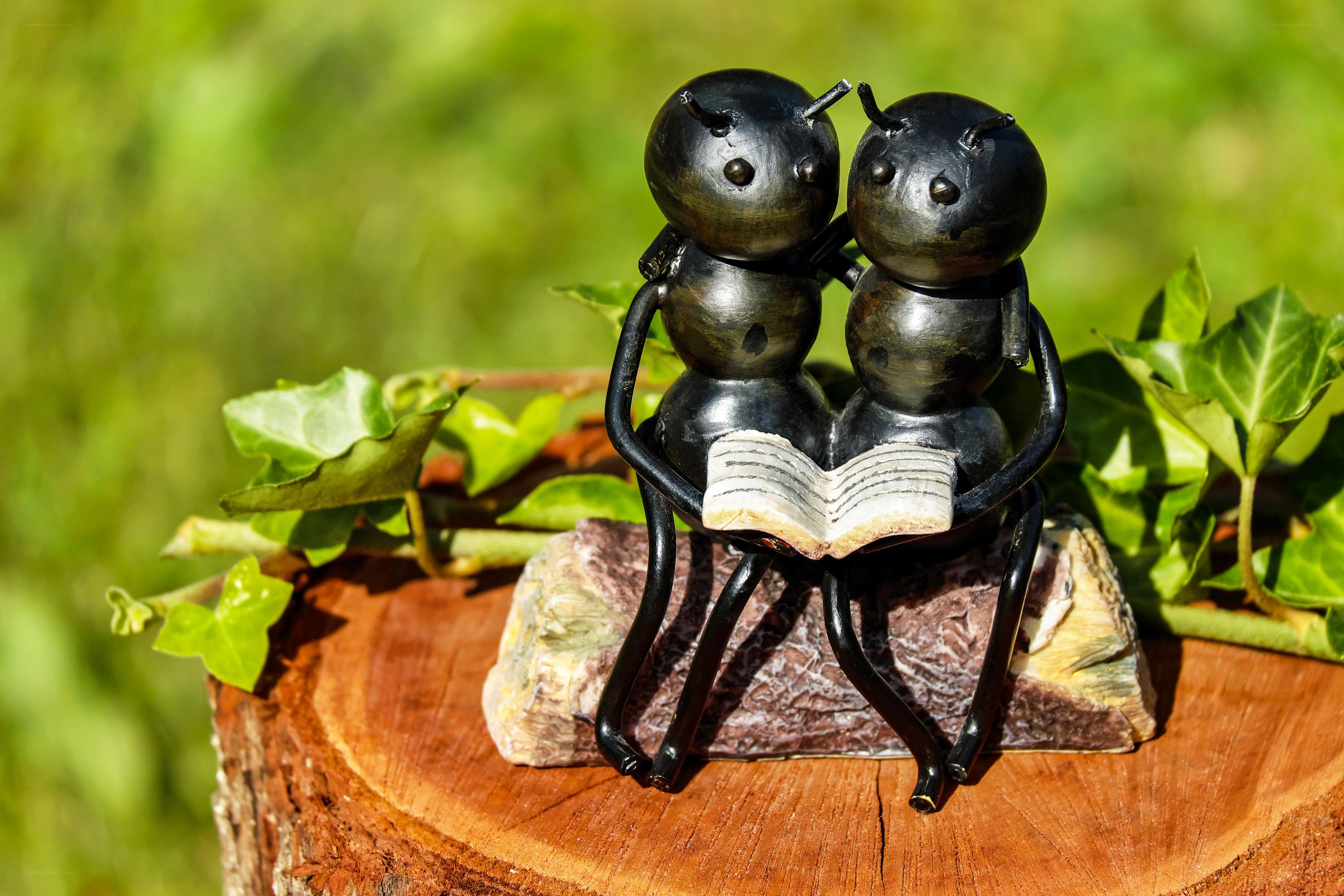 Ant figurines reading book