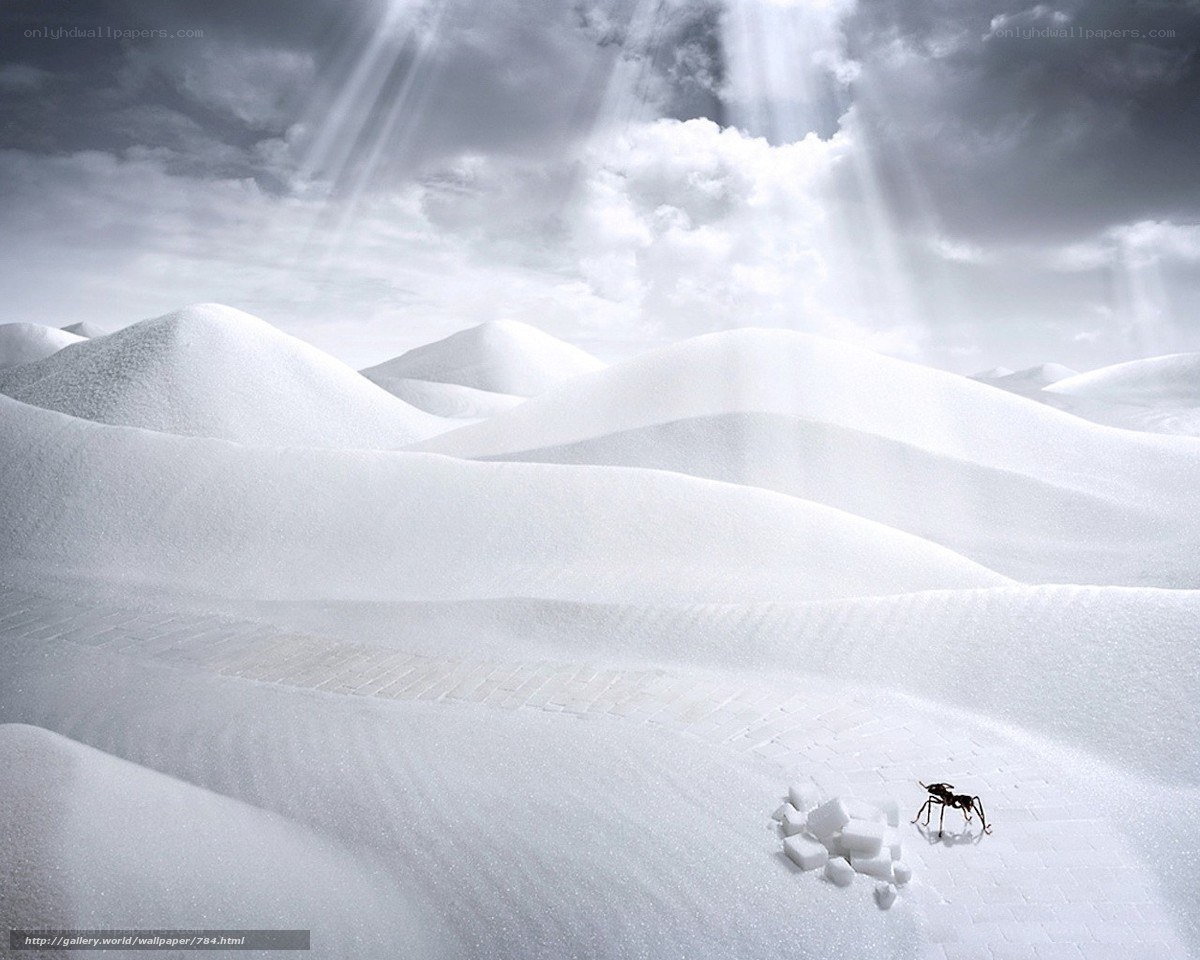 Ant in a sugar desert