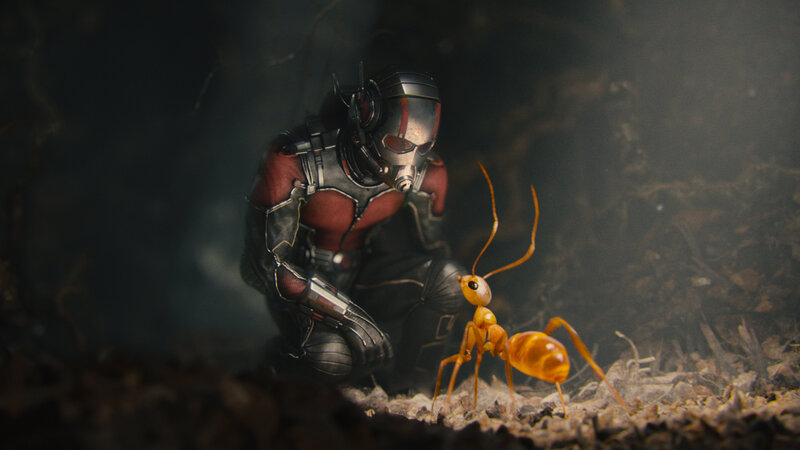 Ant-Man and an ant