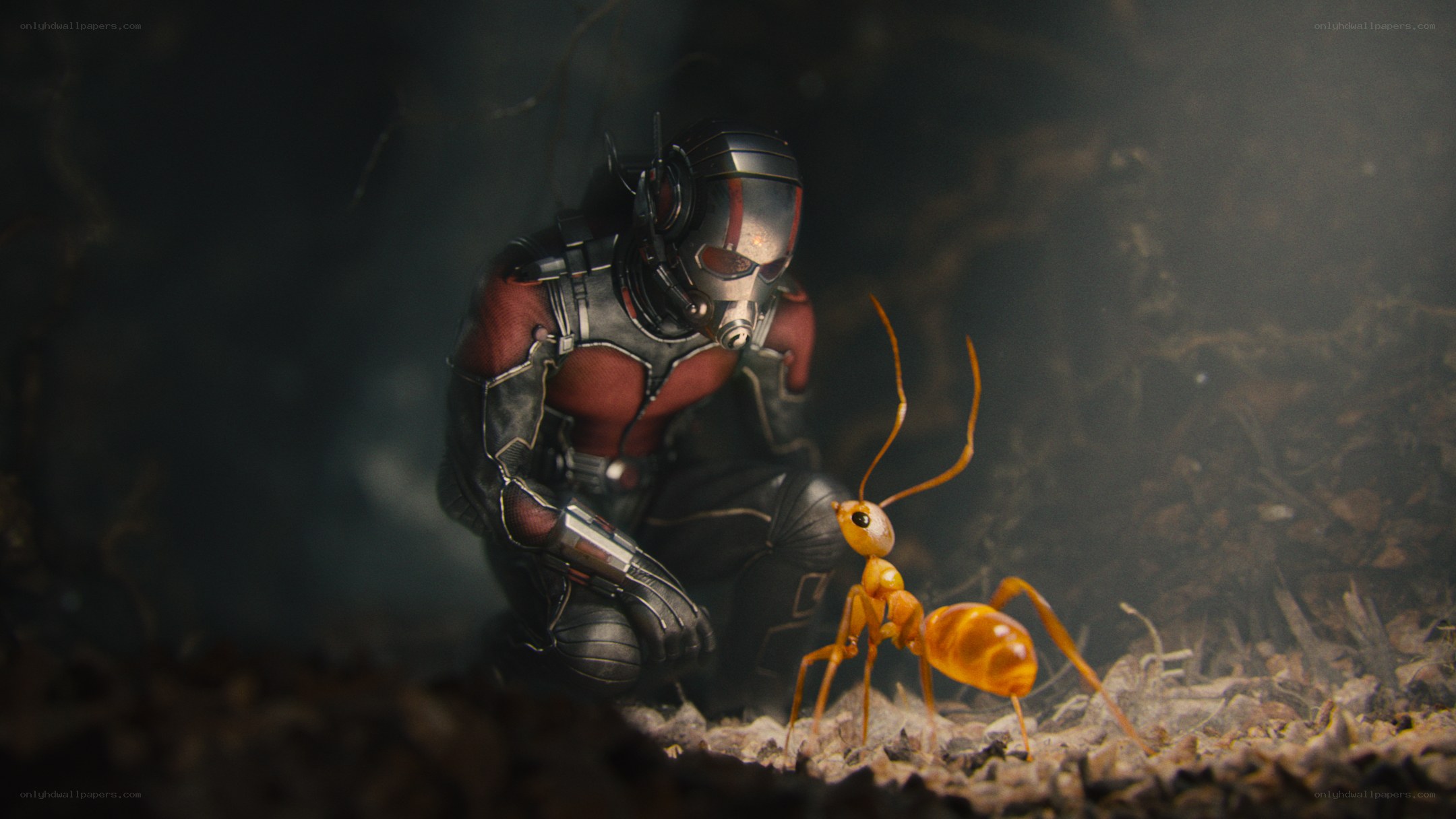 Ant-Man and an ant