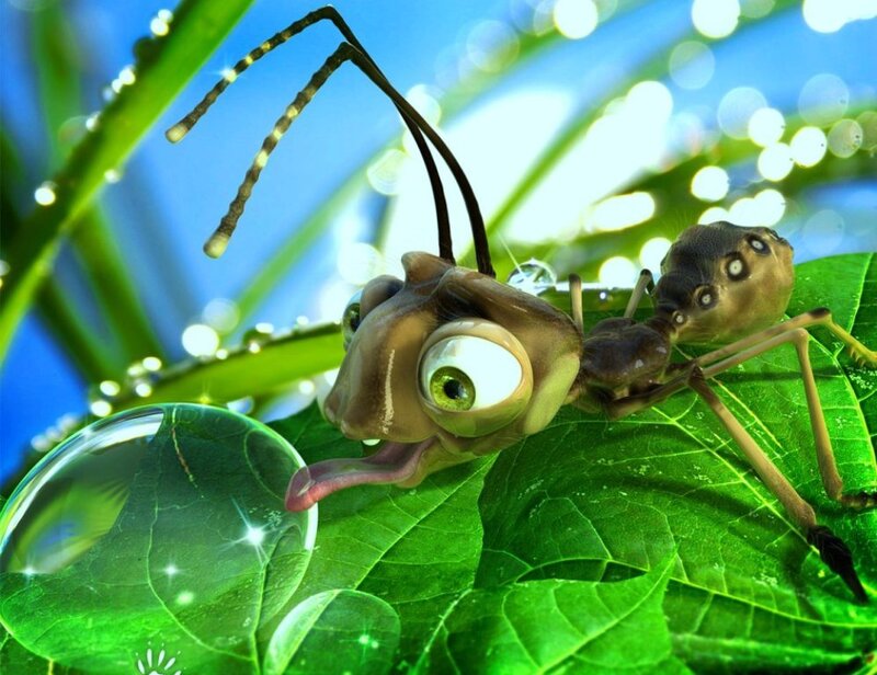 ant on a leaf with dew