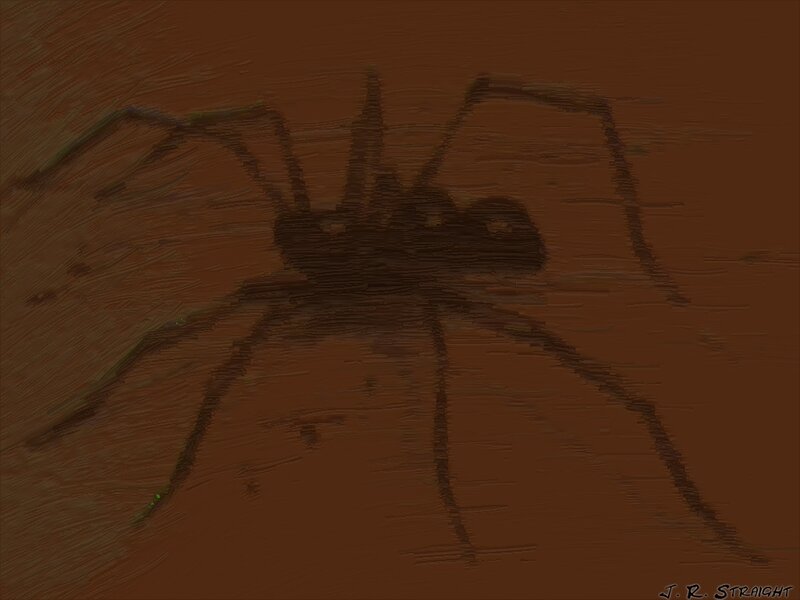 Ant on Brown Surface
