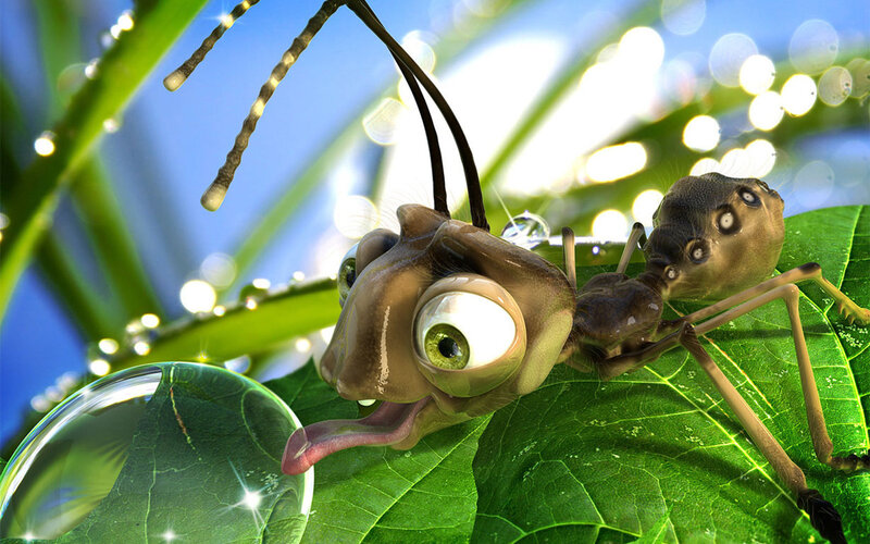 Ant on Green Leaf