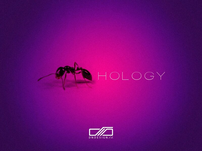 ant on purple background