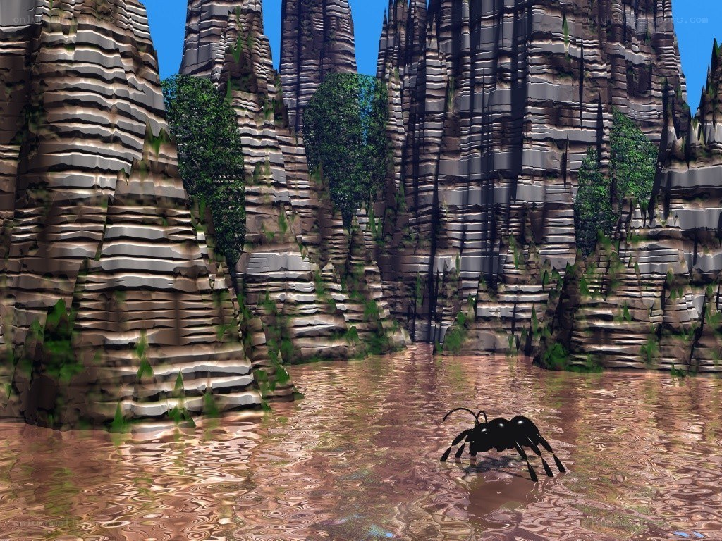 ant on water near cliffs