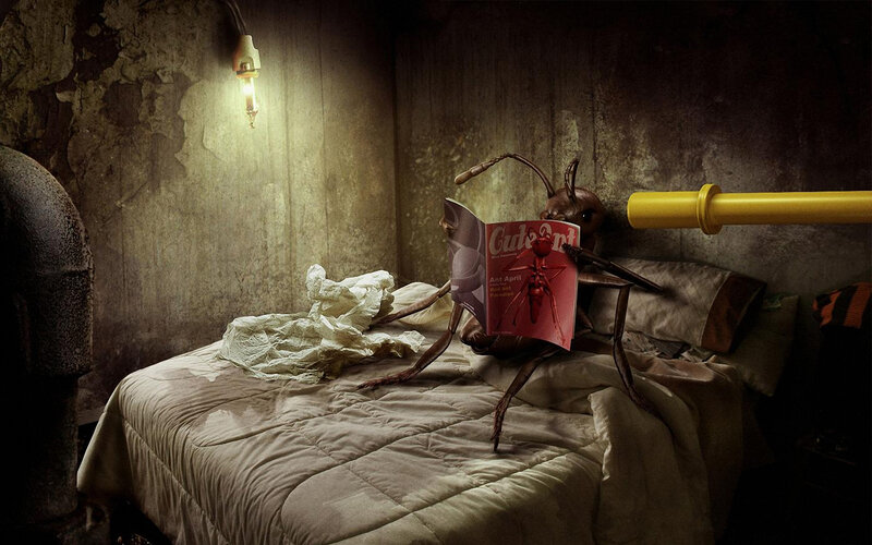 Ant Reading Magazine