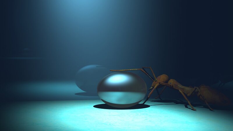 ant with a pearl