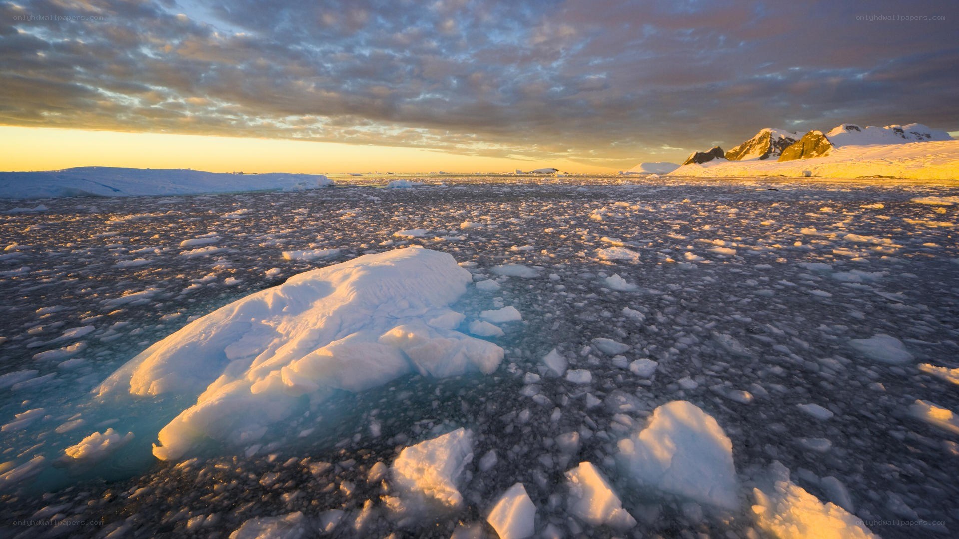 Antarctic ice at sunset