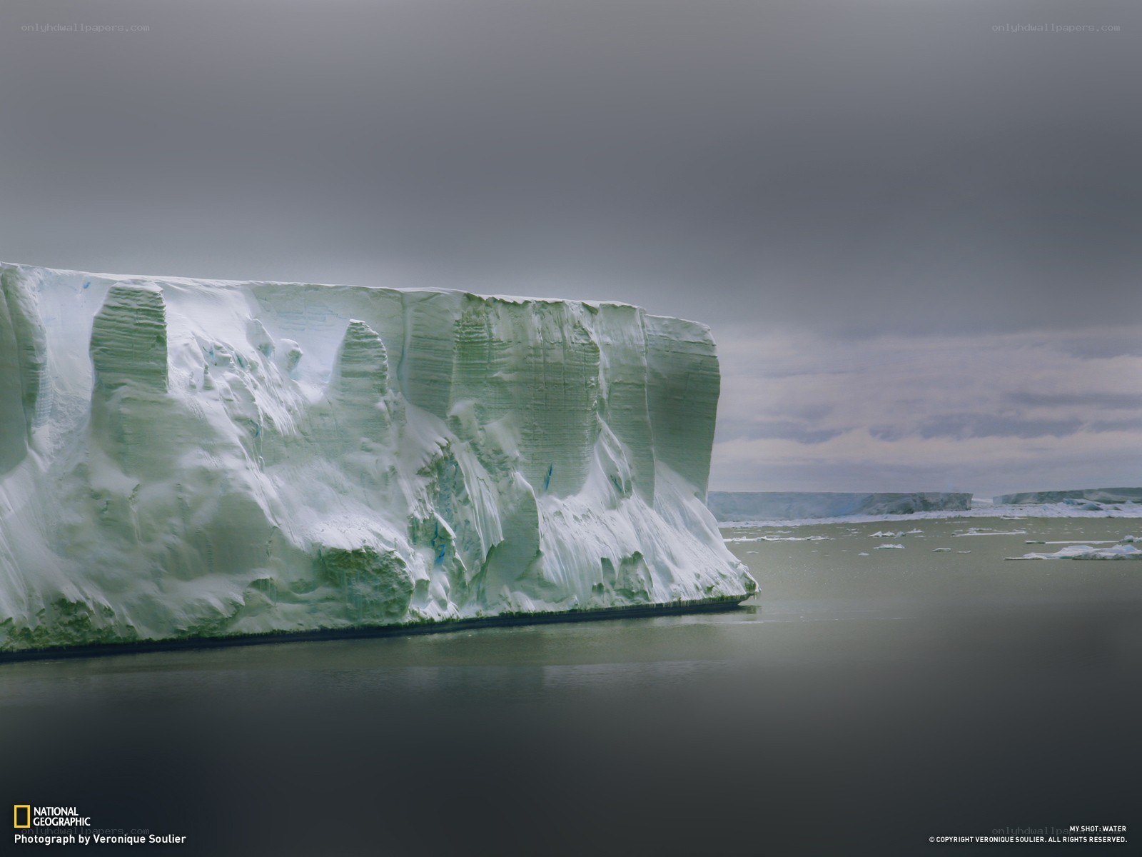 Antarctic ice cliff