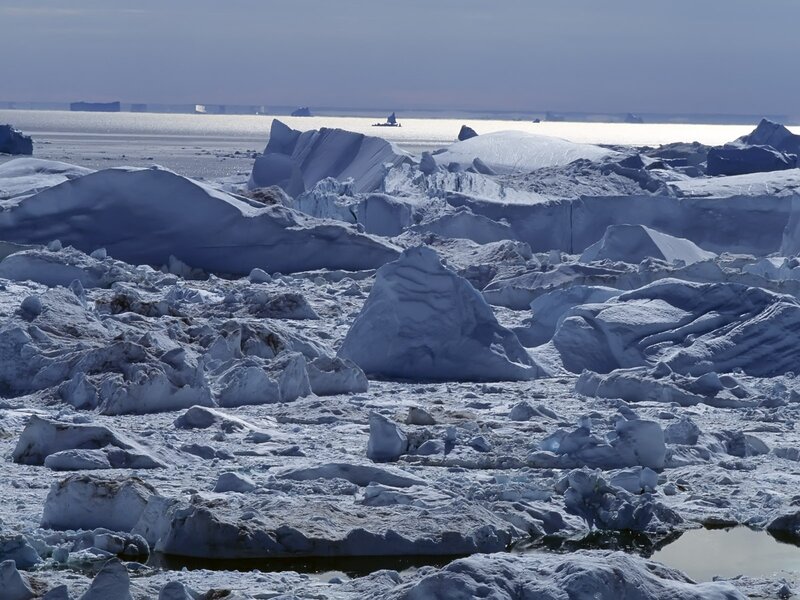 Antarctic ice floes and bergs