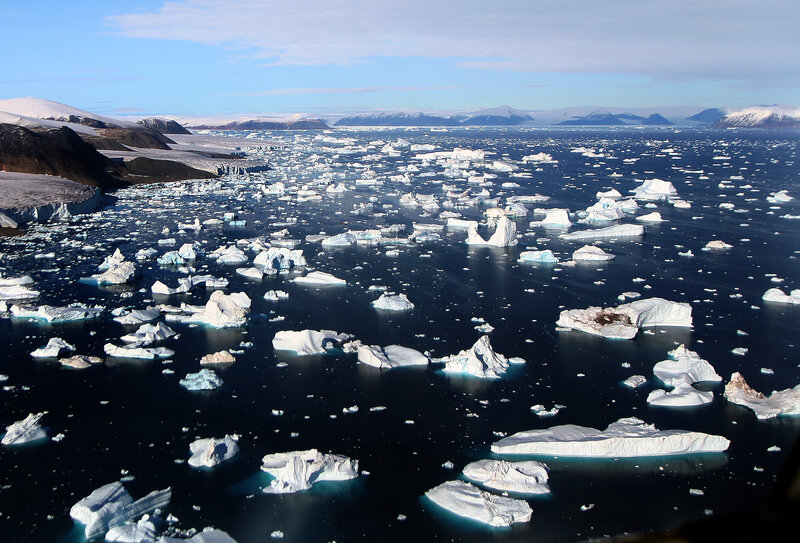 Antarctic ice floes and bergs