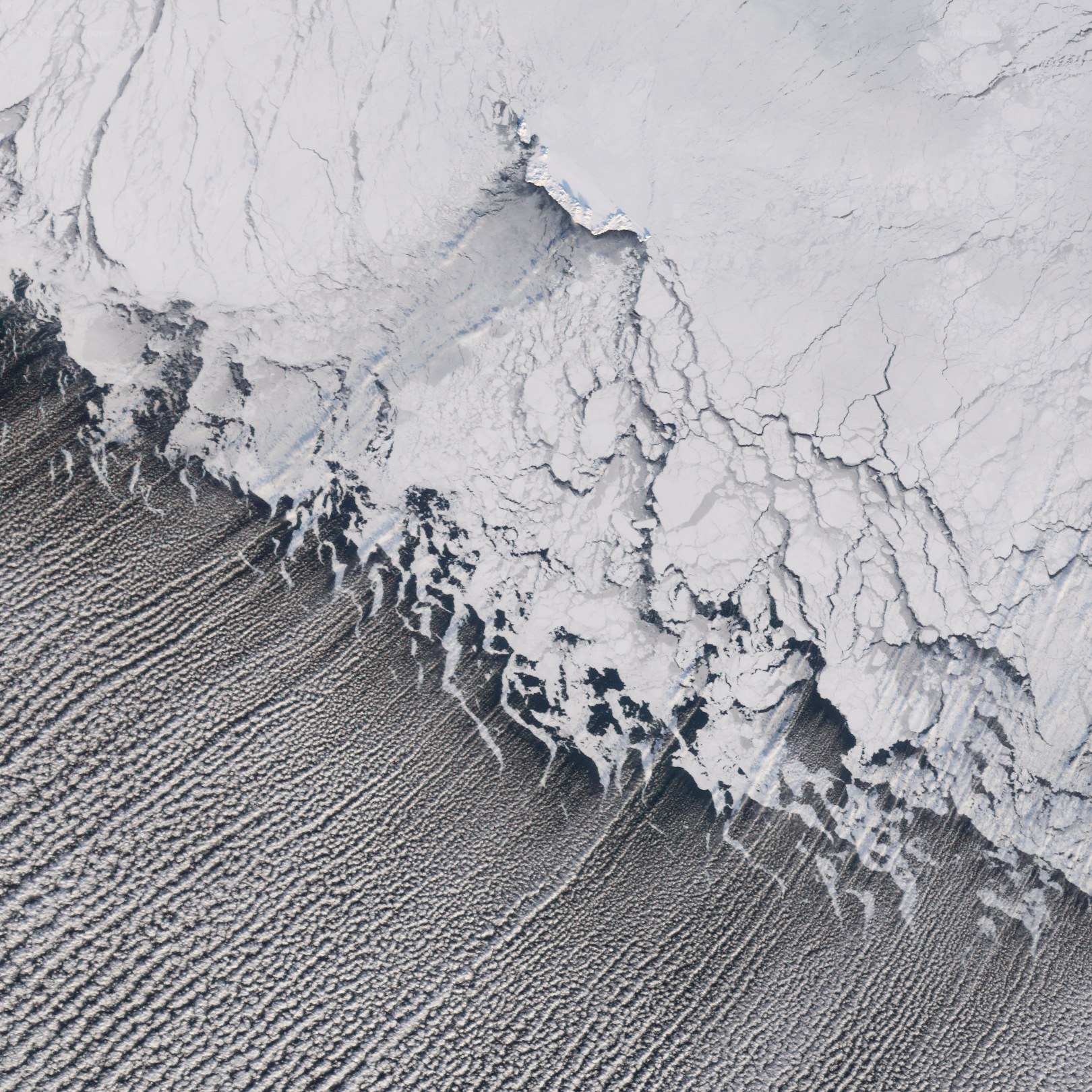 Antarctic ice shelf from space