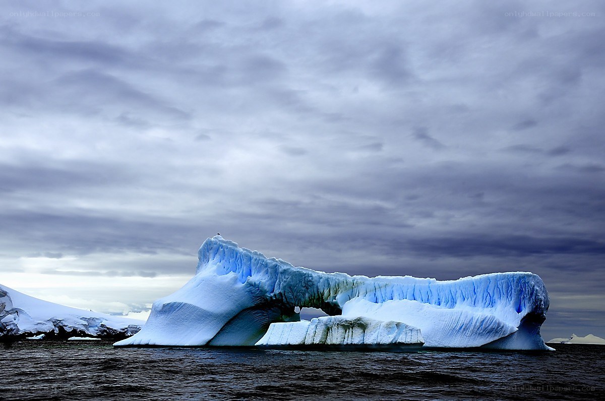 Antarctic iceberg with arch