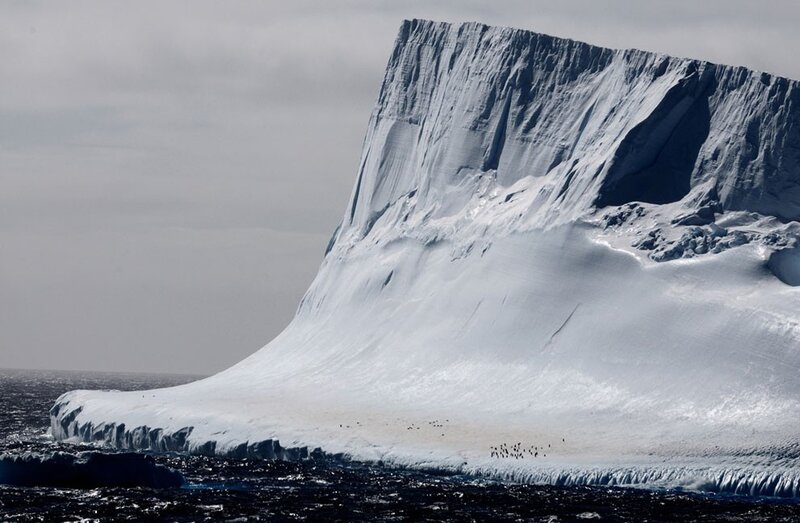 Antarctic iceberg with penguins