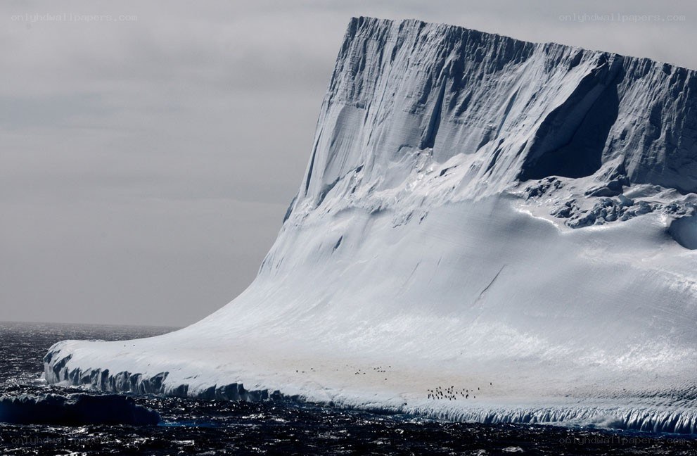 Antarctic iceberg with penguins