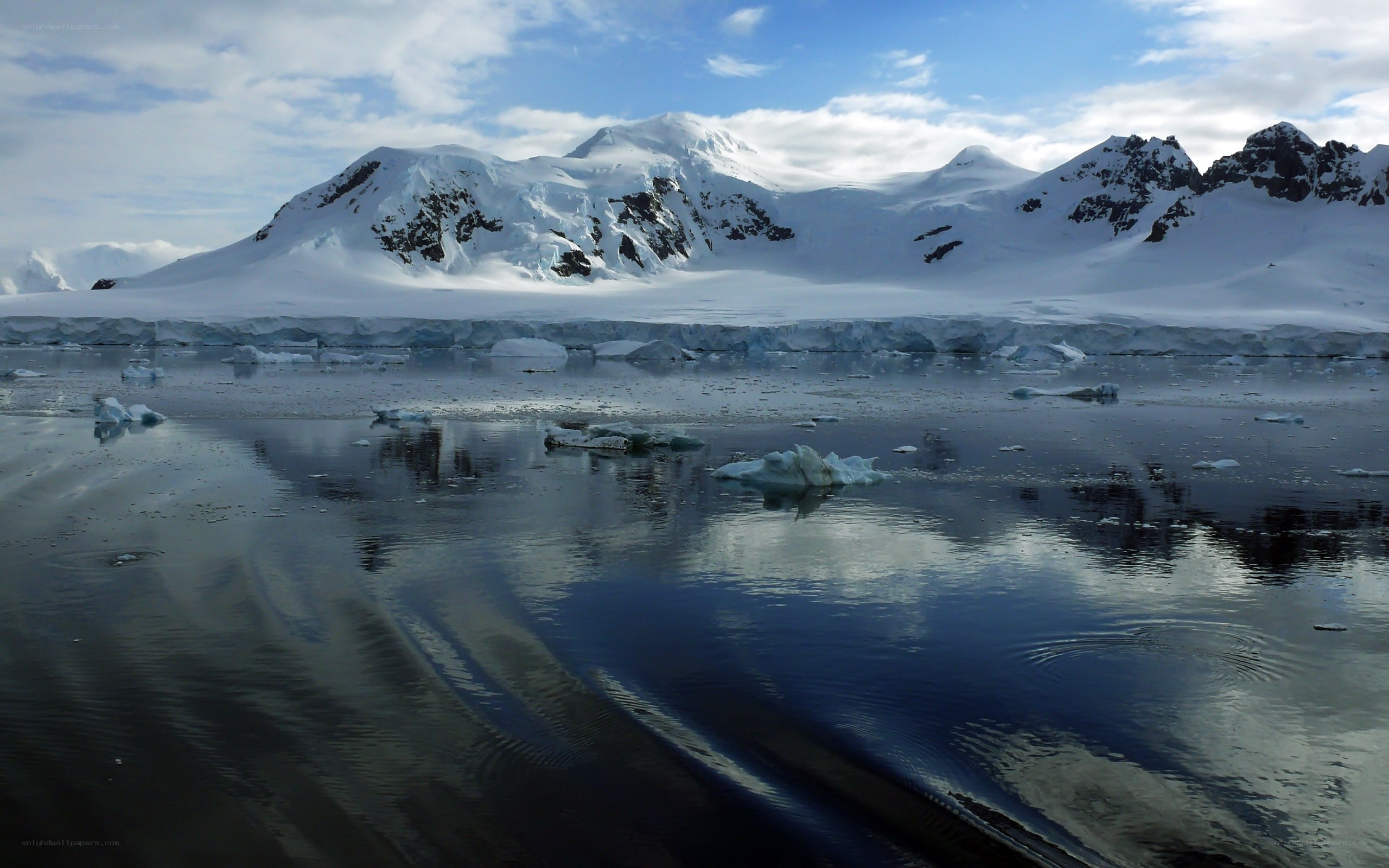 Antarctic icebergs and mountains