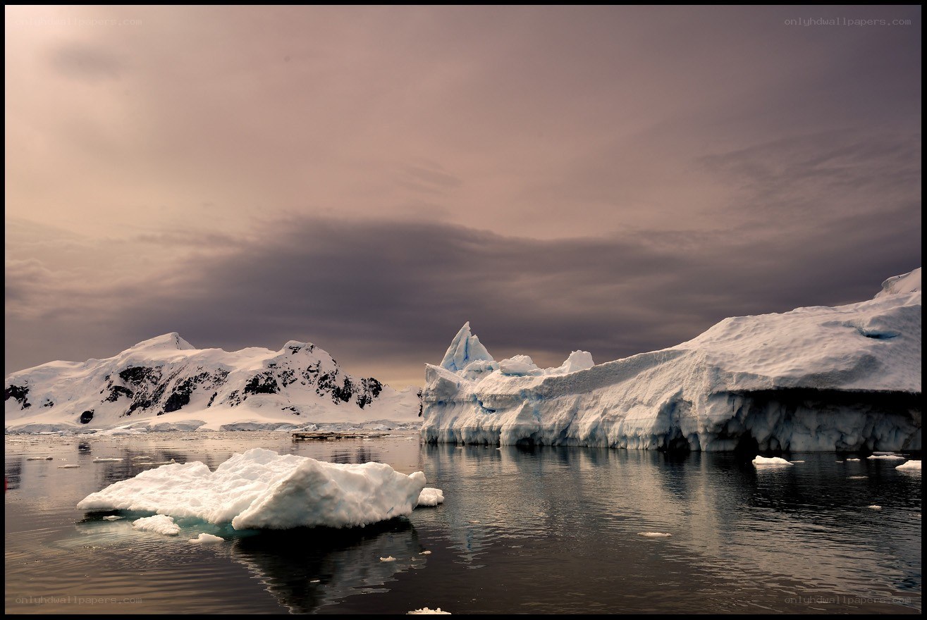 Antarctic icebergs at dusk