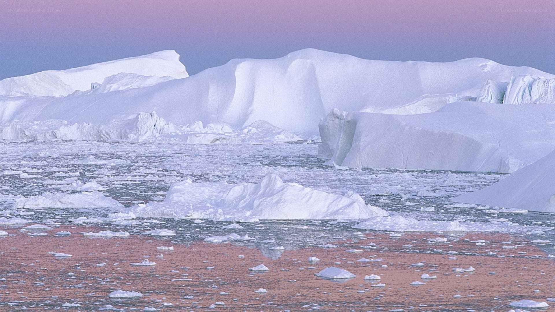 Antarctic icebergs at dusk
