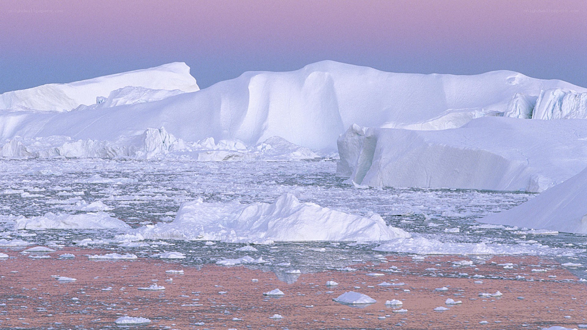 Antarctic icebergs at sunset