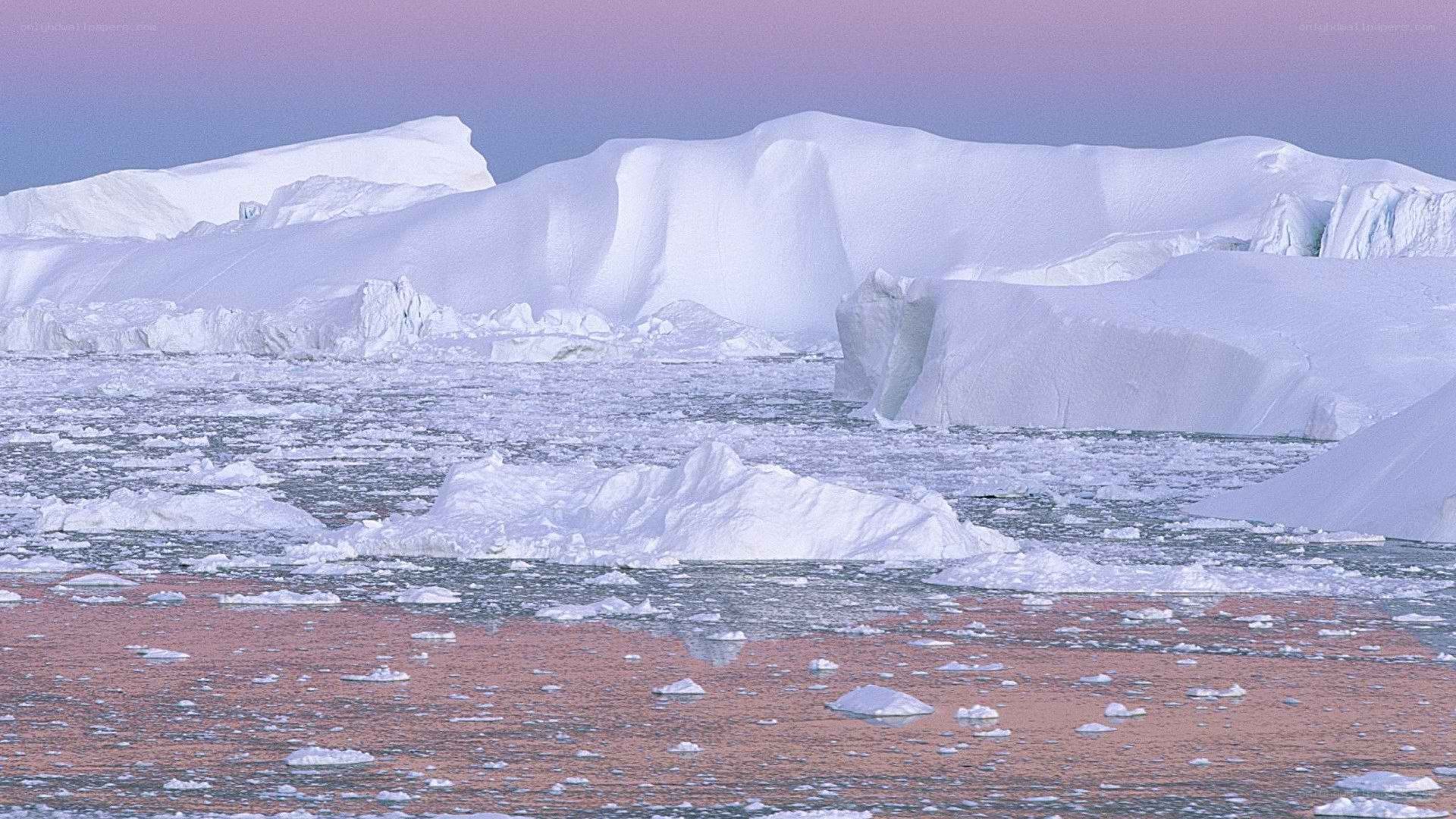Antarctic icebergs at sunset