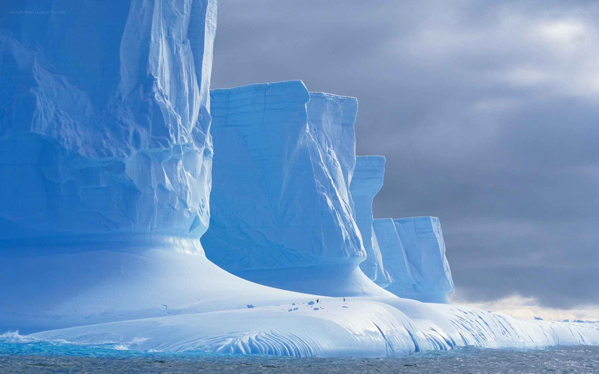 Antarctic icebergs under cloudy sky