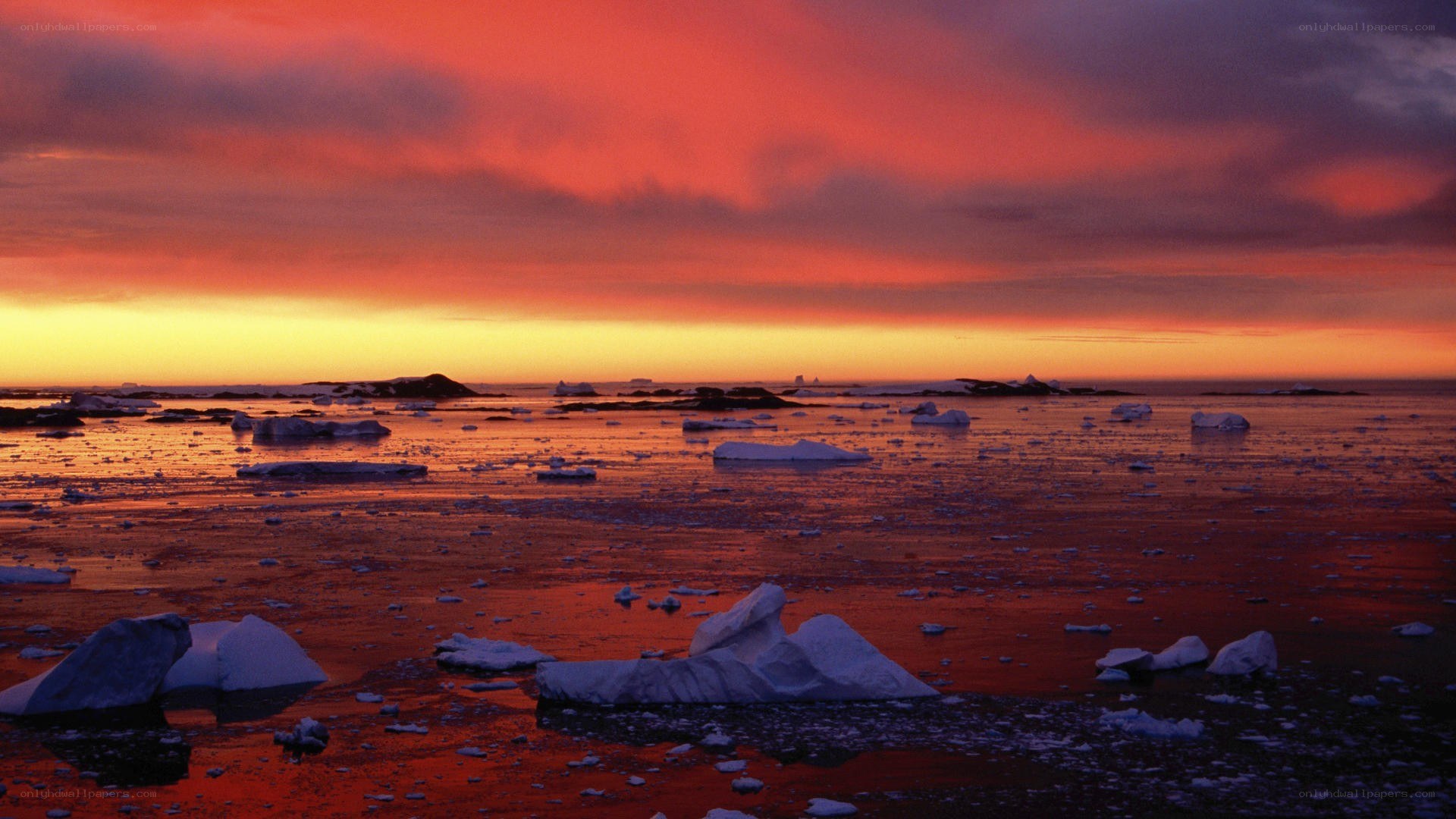 Antarctic sunset with icebergs