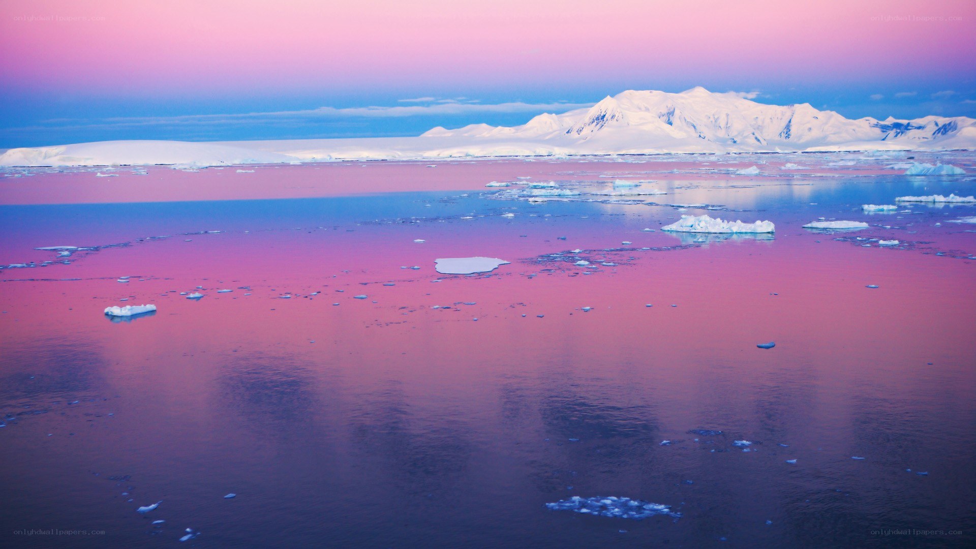 Antarctic sunset with icebergs
