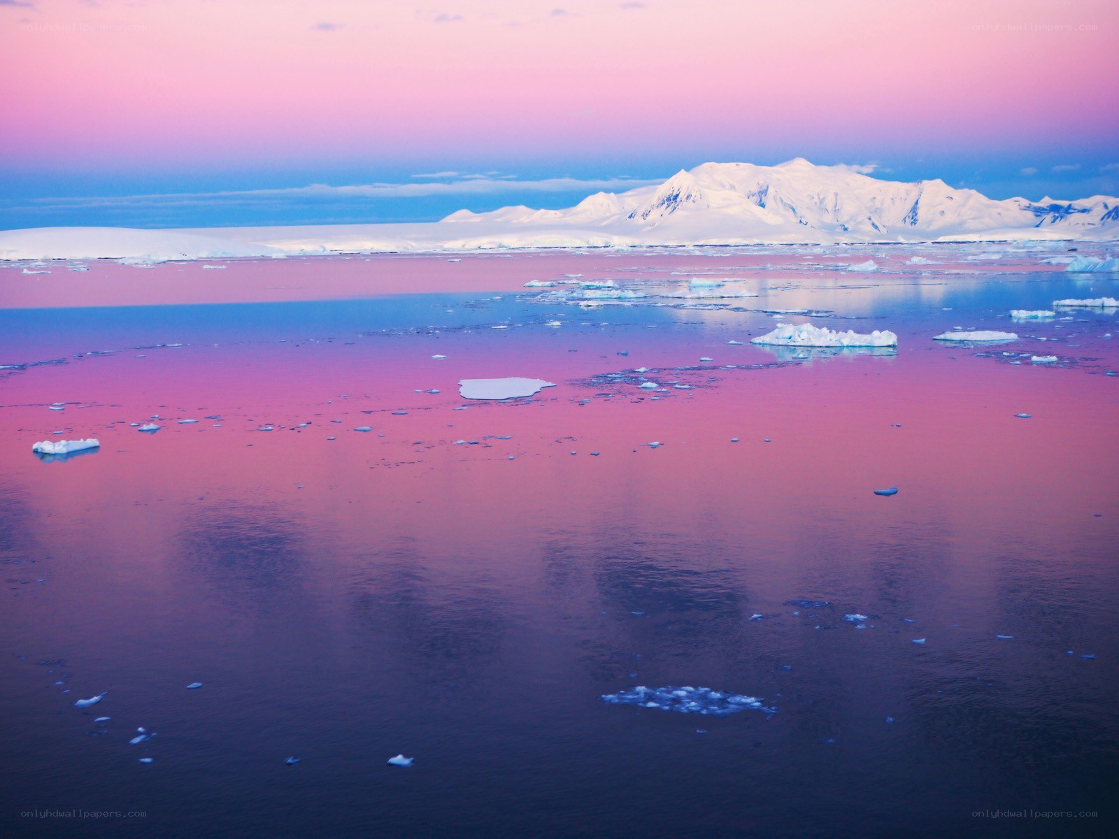 Antarctic sunset with icebergs