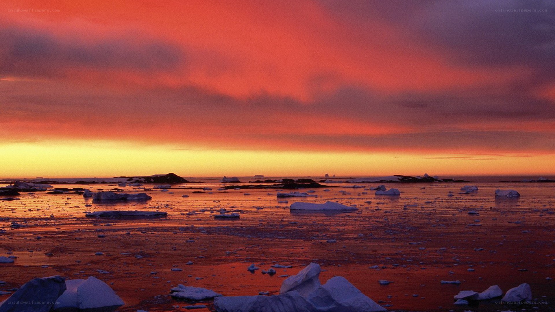 Antarctic sunset with icebergs