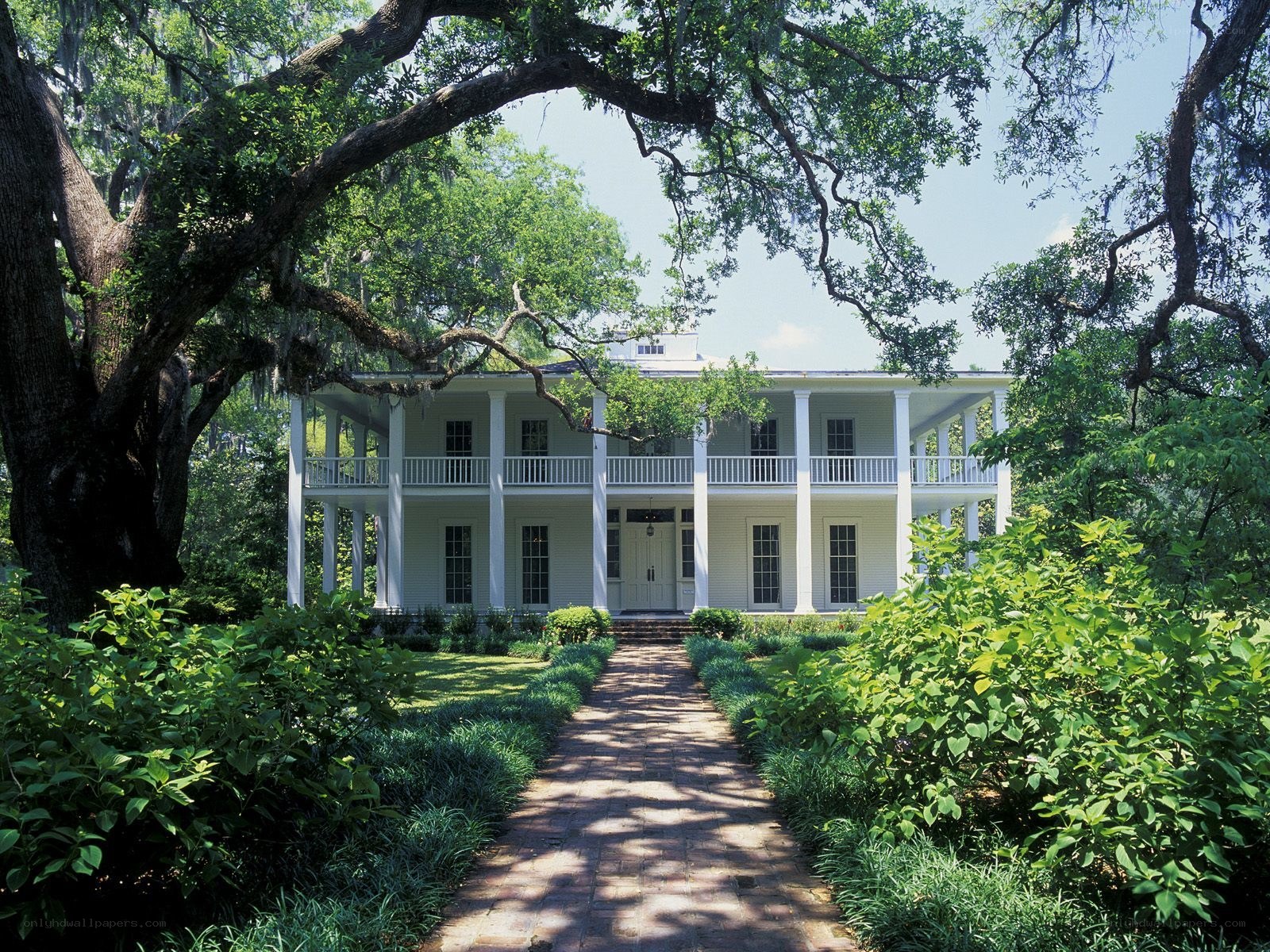 antebellum house with oak trees