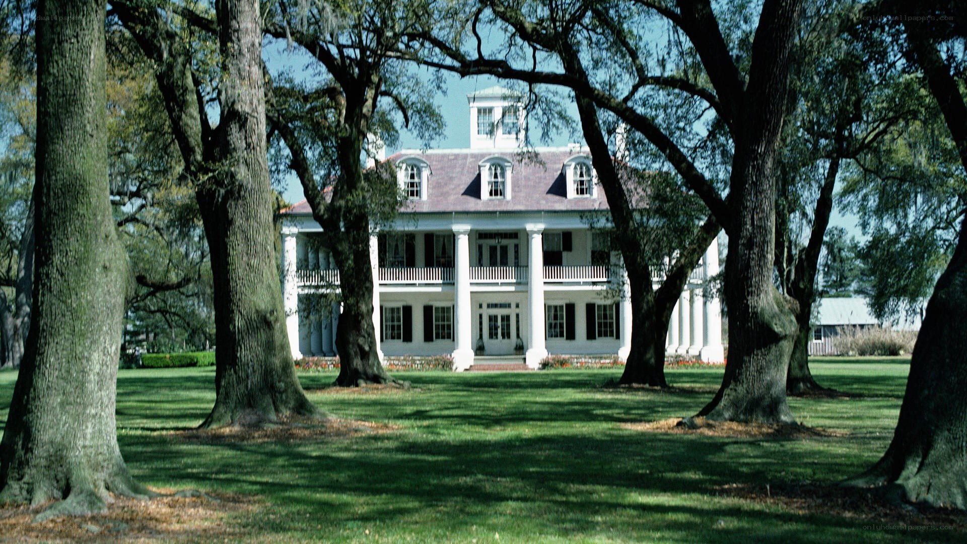 Antebellum mansion with oak trees