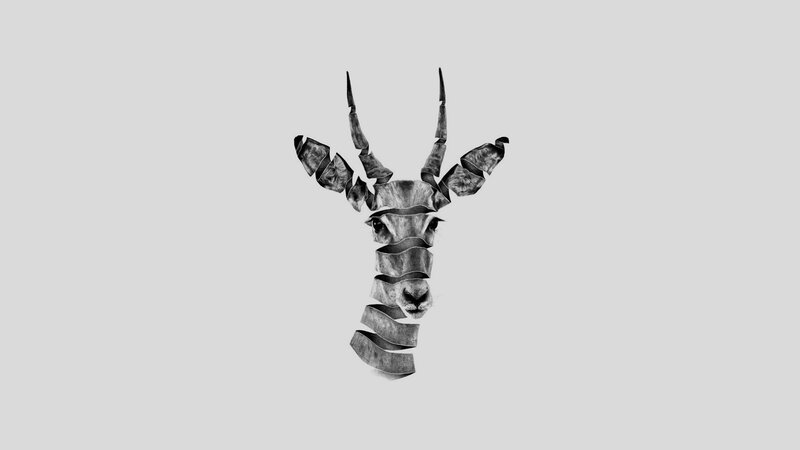 Antelope Head Illustration