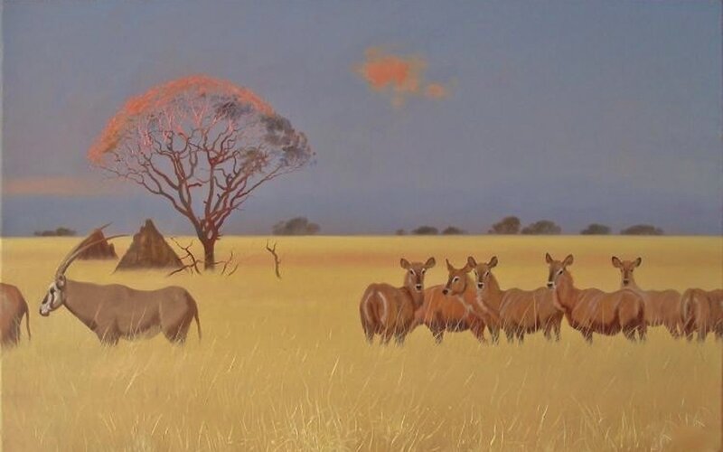 Antelope Herd in Savanna — Yellow