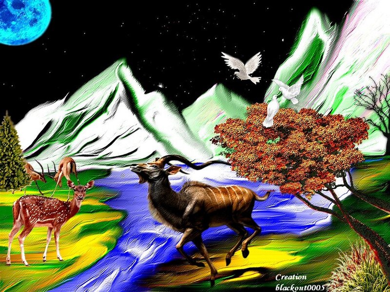 Antelope in Landscape